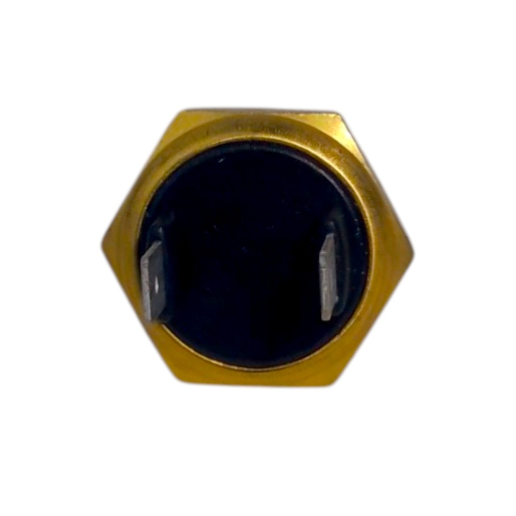 Bulbo De Electroventilador - 1