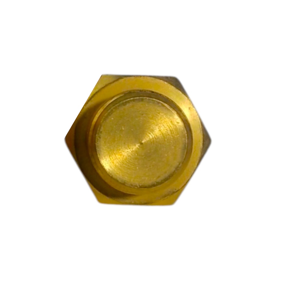 Bulbo De Electroventilador - 2