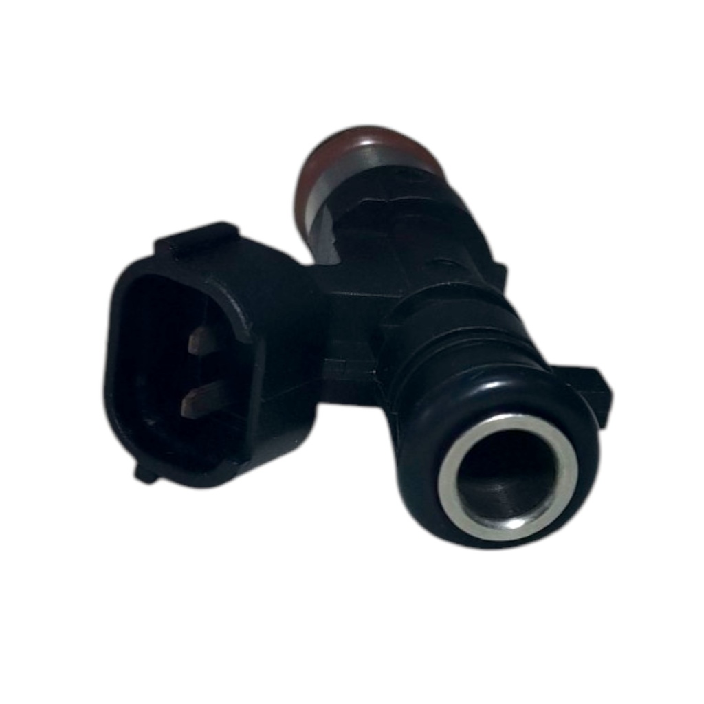 Inyector Nafta - 2