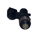 Inyector Nafta - 3