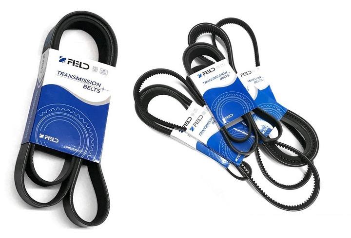 Correa Poly V